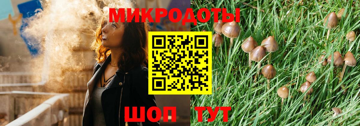 Галлюциногенные грибы GOLDEN TEACHER  Вход с VPN  Чусовой 